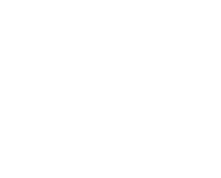 logo final YAP