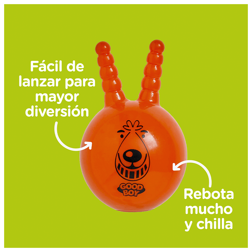 infographic Fetch Toy Good Boy