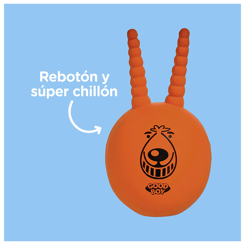 infographic Squeaky L toy GOOD BOY