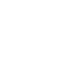 N1CO logo