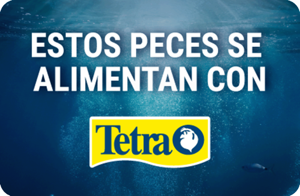 sticker for fish tank "these fish are fed with Tetra"