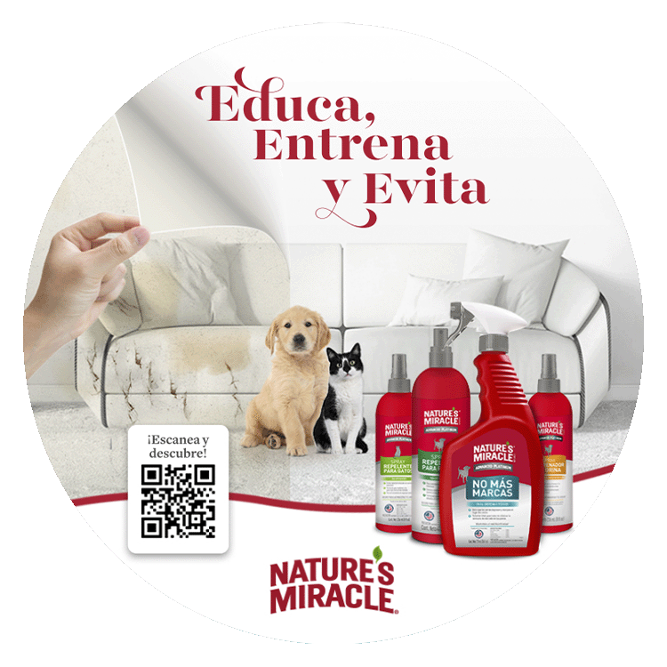 Dangler Natures Miracle campaign "educate, train, and prevent" with an image of a dirty room vs a clean room with the products