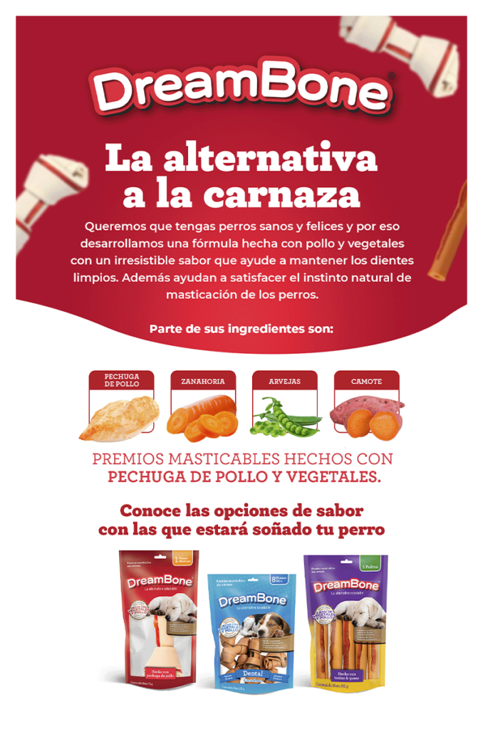 Dreambone flyer "the alternative to rawhide" with text explaining the ingredients of its products