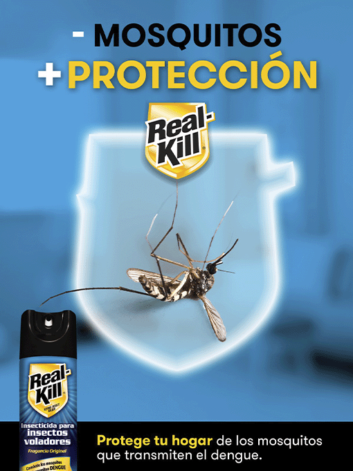 Proposal for Key Visual campaign - Mosquitoes + Protection, shows a blue background, the brand's shield, and an idea of killing mosquitoes with a photo of a dead mosquito.