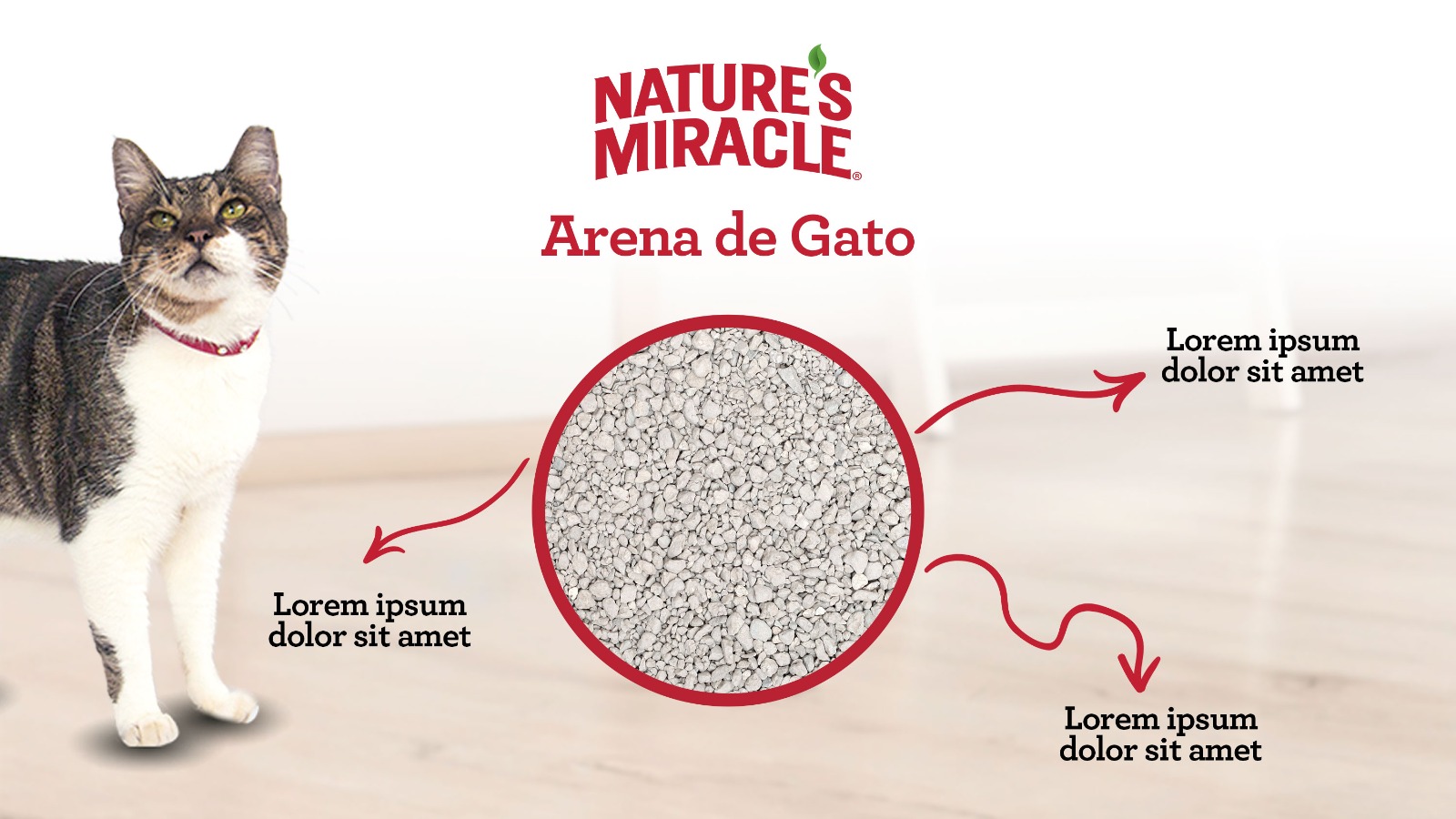 Nature's Miracle flyer for cat litter with a photo of a cat and key litter attributes.