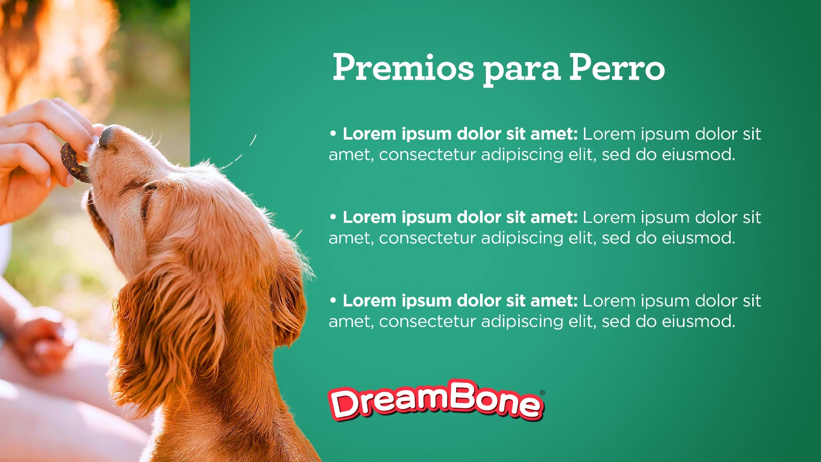DreamBone flyer with a dog eating a treat and an explanatory text.