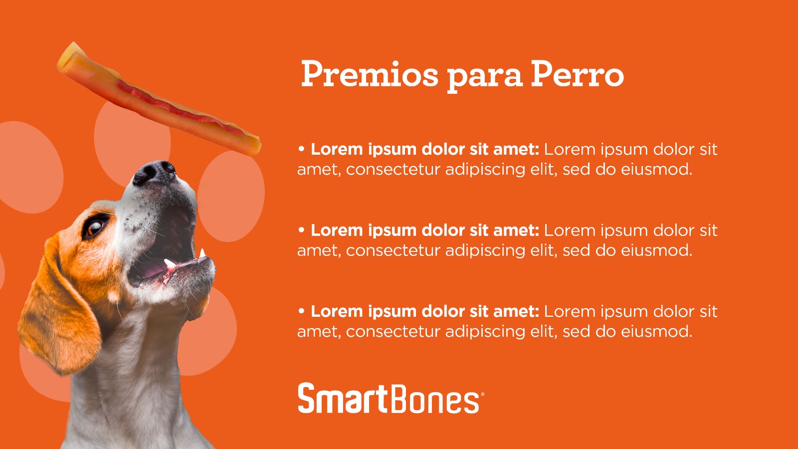 SmartBones flyer with a dog catching a treat in the air and an explanatory text.