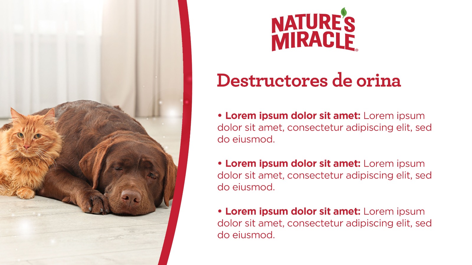 Narutes Miracle flyer with a photo of a dog and cat explaining that it is the urine destroyer.